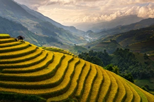 Images Dated 27th September 2014: Rice terrace of Mu Cang Chai