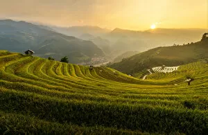 Images Dated 26th September 2014: Rice terrace of Mu Cang Chai