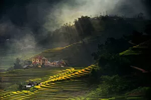 Images Dated 9th September 2011: Rice terrace in Sapa