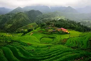 Images Dated 12th September 2011: Rice terrace in Sapa