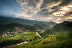 Images Dated 27th September 2014: Rice terrace, Vietnam