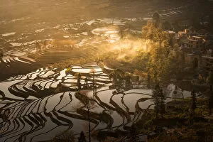 Images Dated 1st March 2014: Rice terrace in Yuanyang County