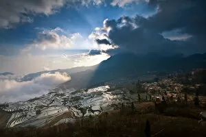 Images Dated 12th February 2012: Rice terrace in Yuanyang County