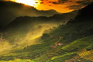Images Dated 9th September 2011: Rice terraces