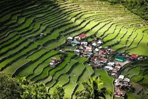 Rice terraces, Batad, Philippines