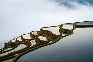 Images Dated 18th February 2012: Rice Terraces Cloud Reflection
