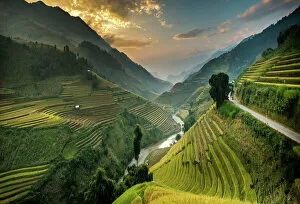 Valley Collection: Rice terraces in Mu Cang Chai, North Vietnam
