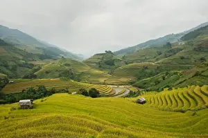 Building Terrace Prints: Rice terraces in Mu Cang Chai, North Vietnam