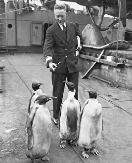 Byrd Prints: Richard E. Byrd with Penguins