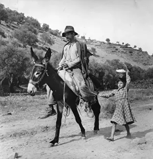 Donkey Prints: Riding On Donkey