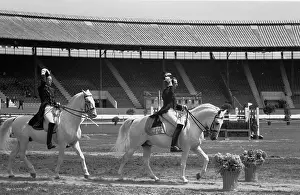Equestrian Prints: Riding School