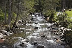 Riesachbach creek, Soelktaeler Nature Park, Schladming Tauern mountains, Upper Styria, Styria, Austria, Europe