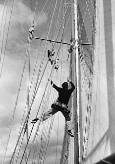 Wires Prints: In The Rigging