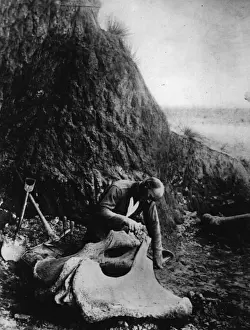 Spade Prints: Riggs Expedition