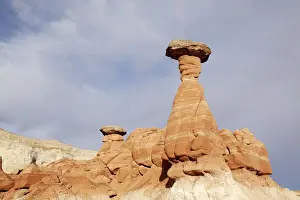 Fell Prints: The Rimrock, landscape, Utah, USA, America