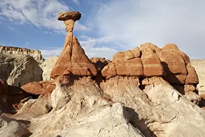 Fell Prints: The Rimrock, landscape, Utah, USA, America