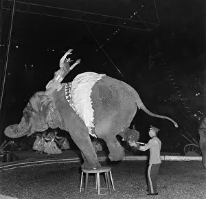 Ringling Bros. and Barnum & Bailey Circus