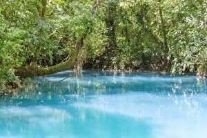 Pond Gallery: Rio Celeste river in the green forest of Costa Rica