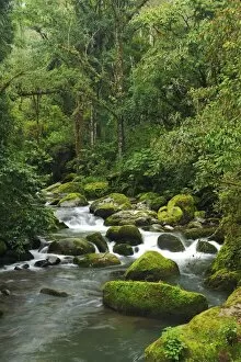 Images Dated 13th May 2012: Rio Savegre, San Gerardo de Dota Costa Rica, Central America