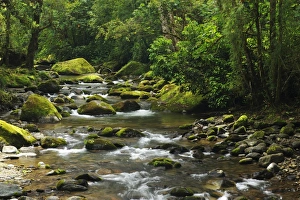 Images Dated 13th May 2012: Rio Savegre, San Gerardo de Dota Costa Rica, Central America