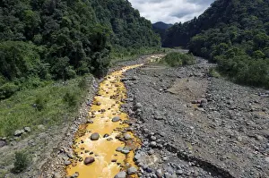 Rain Forest Prints: Rio Sucio, Dirty River, Braulio Carrillo National Park, Costa Rica, Central America