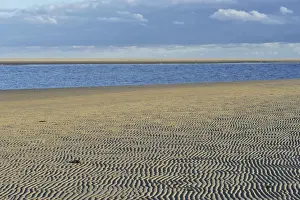 Tideland Prints: Ripple patterns in front of a tidal creek on the western beach of Spiekeroog
