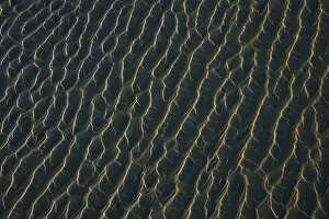 Images Dated 7th February 2012: Ripples Form In The Sand At Chestermans Beach And Frank Island Near Tofino