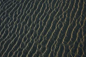 Ripples Prints: Ripples Form In The Sand At Chestermans Beach And Frank Island Near Tofino