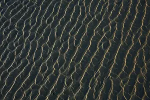 Clayoquot Sound Prints: Ripples Form In The Sand At Chestermans Beach And Frank Island Near Tofino; British Columbia Canada