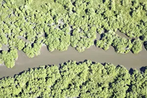 Aerial Collection: River