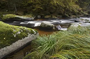 Flows Prints: River Aist, Upper Austria, Austria, Europe