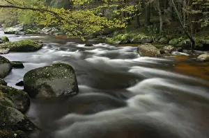 Flows Prints: River Aist, Upper Austria, Austria, Europe