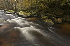 Flows Prints: River Aist, Upper Austria, Austria, Europe