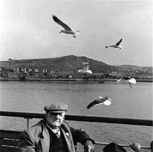 Seagull Prints: River Clyde