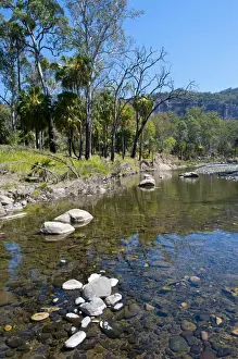 River flowing through the Carnarvon National Park, Queensland, Australia