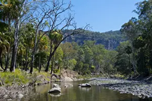 Riverbed Prints: River flowing through the Carnarvon National Park, Queensland, Australia