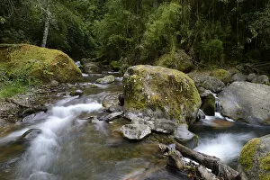 Images Dated 12th May 2012: River head of the Rio Savegre river, San Gerardo de Dota, Costa Rica, Central America