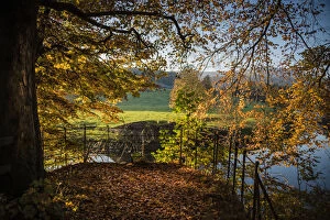 Images Dated 2nd November 2015: River Hodder autumnal viewpoint, Lancashire
