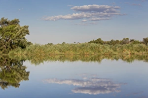 Images Dated 4th November 2012: River landscape in Mamili National Park, Caprivi Strip, Namibia, Africa