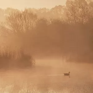Captivating Global Landscape Vistas by George Johnson: River Lea, Hooks Marsh, Serenity