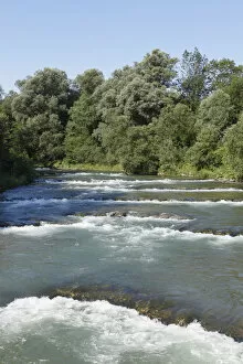 Images Dated 6th July 2011: River Mangfall at the Mangfall bend in Grubmuehle, parish of Valley, Mangfalltal, Upper Bavaria