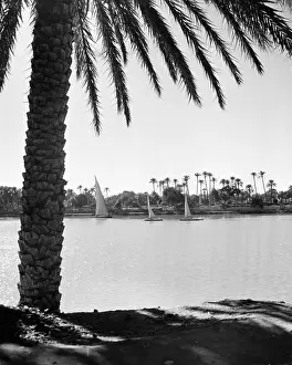 Lac0062 Prints: RIVER NILE SEEN FROM CAIRO