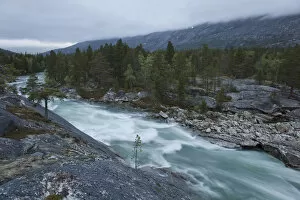 Woodlands Collection: River in the Norwegian Plateau, Norway, Scandinavia, Europe