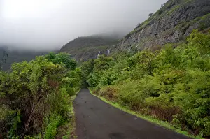 Monsoon Prints: Road to heaven