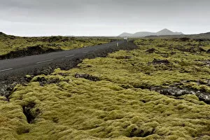 Images Dated 9th September 2014: Road through a lava field, lava covered by Elongate Rock Moss -Niphotrichum elongatum
