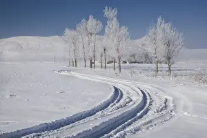 Absence Prints: Road to Muradiye in snow, Van Province, Turkey
