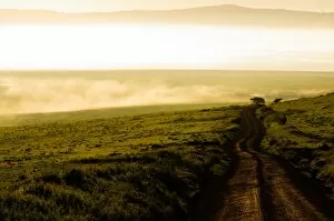 Images Dated 20th January 2010: Road Through the Ngorongoro Crater