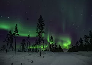 Images Dated 12th November 2012: The road North to the Aurora Borealis
