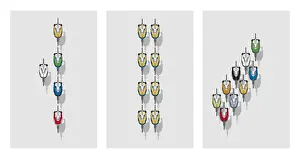 Multiple Image Prints: Road racing cyclist in different formations, single paceline, double paceline and echelon