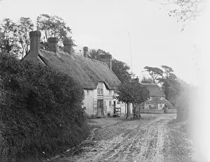 Thatched Roof Prints: Road in Shanklin